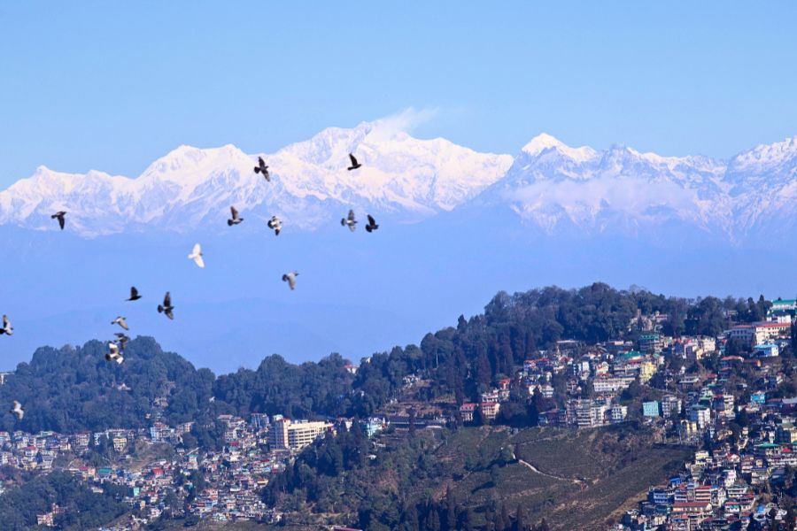 Kanchenjunga view from Darjeeling Himawas boutique stay